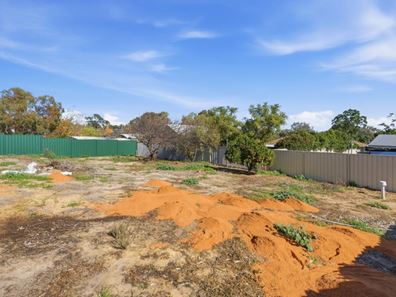 27A Clianthus Way, Koongamia WA 6056