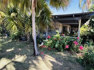 7 Celtis Street, Kununurra WA 6743