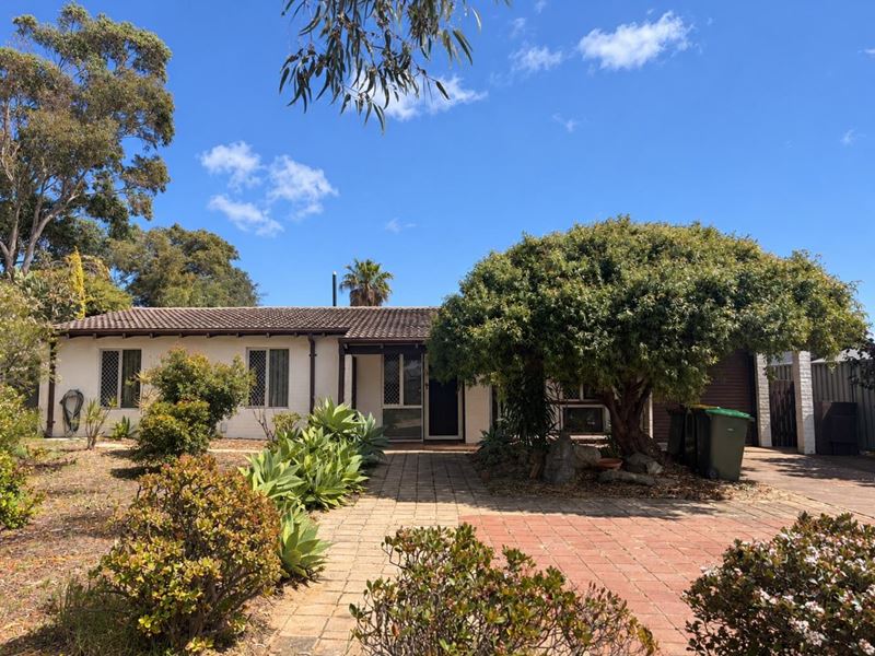 7  Trafford Court, , Craigie WA 6025