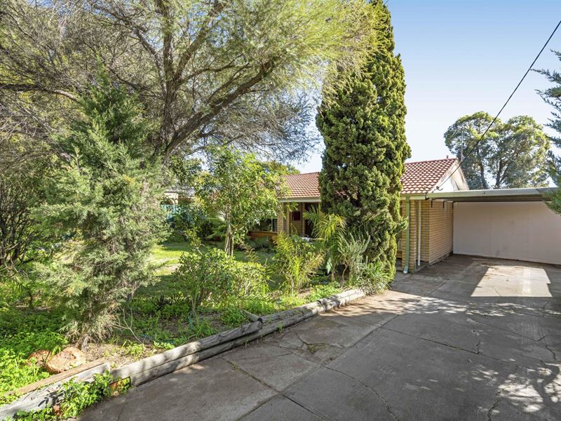 59 Lester Drive, Thornlie