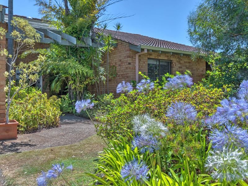 33 Condor Circle, Willetton