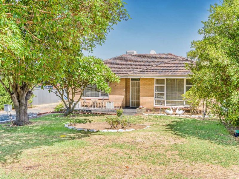 81 Redmond Road, Hamilton Hill