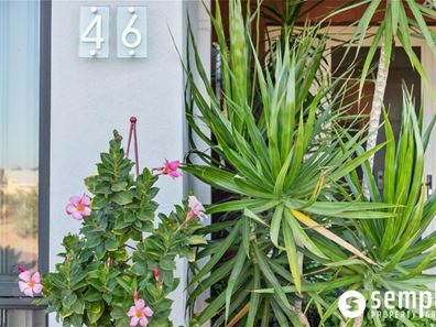 46 Honeyeater Street, Beeliar WA 6164