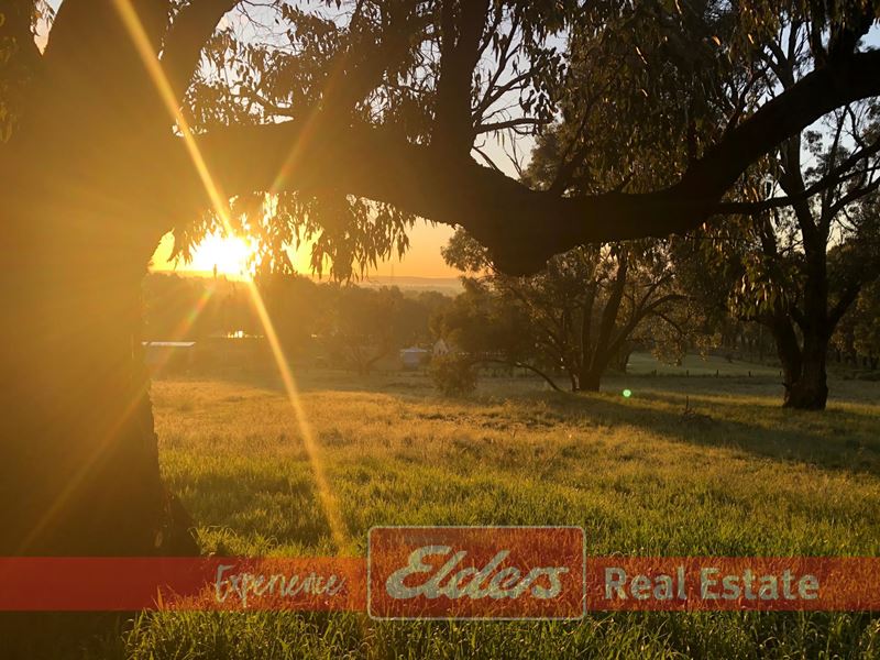 309 Doghill Road, Baldivis