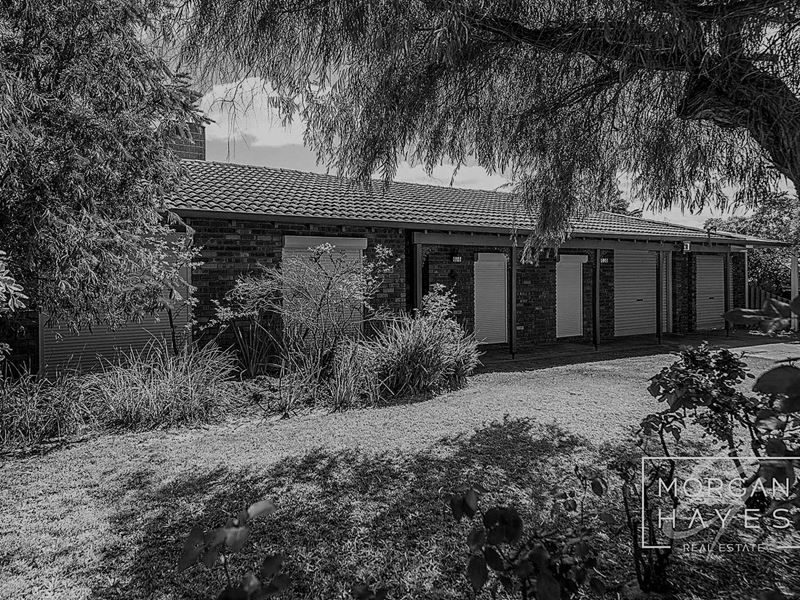 115 Vellgrove Avenue, Parkwood