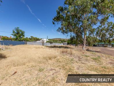 206 Chidlow Street West, Northam WA 6401