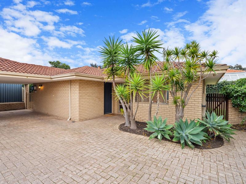 34B Stewart Street, Scarborough