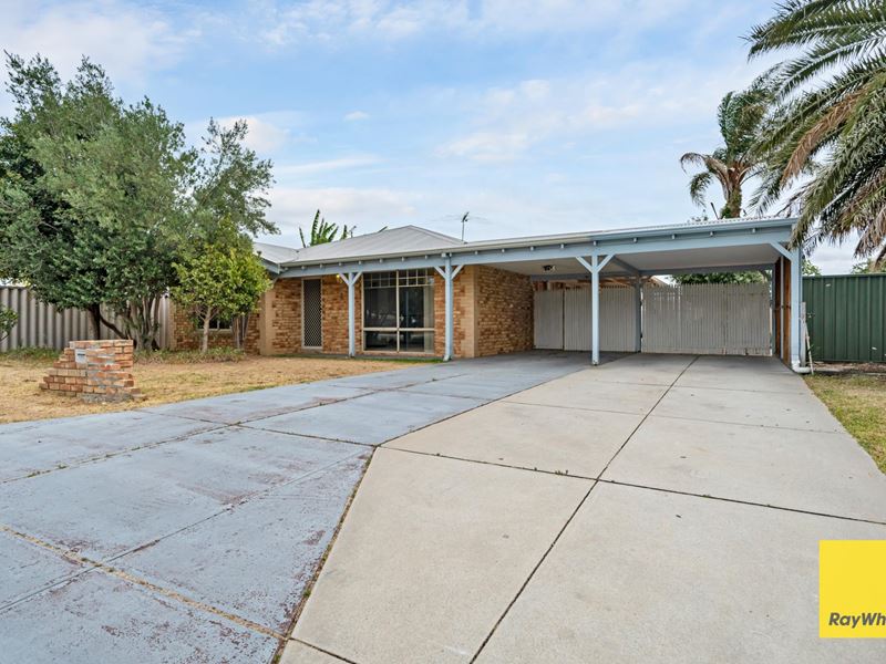 3 Elmwood Court, Marangaroo