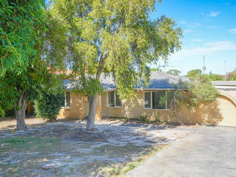 65 Hamersley Place, Morley