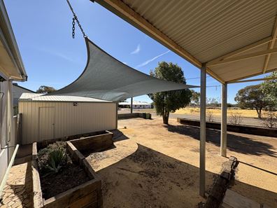 29 Grant  Street, Dalwallinu WA 6609