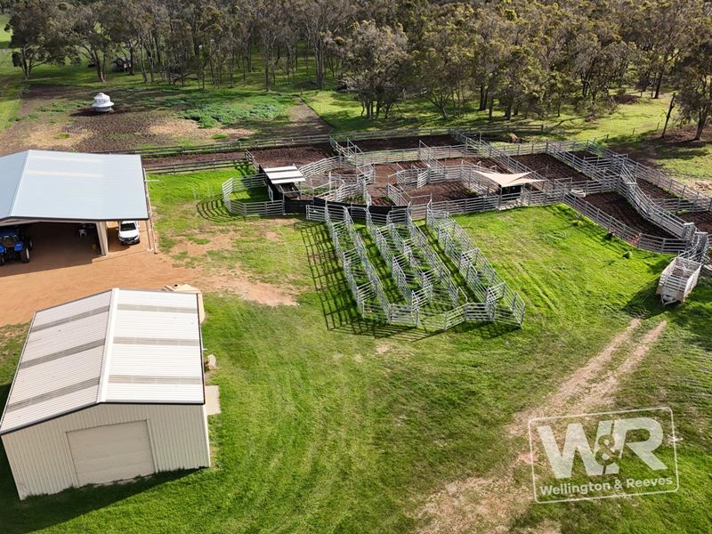 Lot 3 Albany Highway, Narrikup