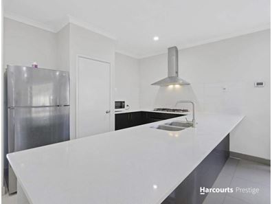 37 Marloo Street, Wattle Grove WA 6107