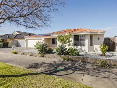 36 Marchwood Boulevard, Butler WA 6036