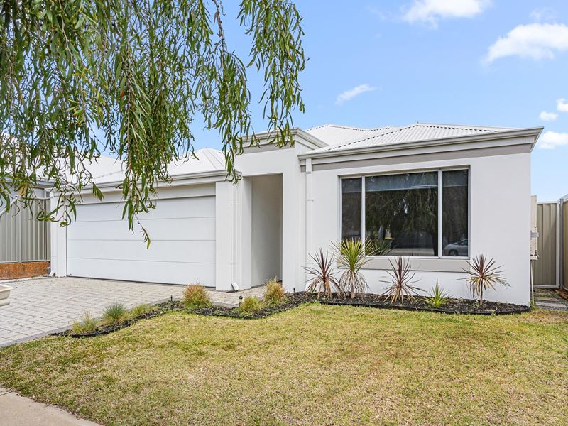 121 Honeywood Avenue, Wandi
