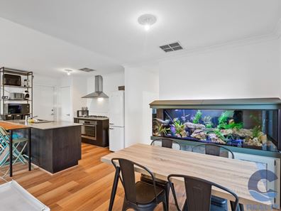 31 Vidalia Drive, Aveley WA 6069