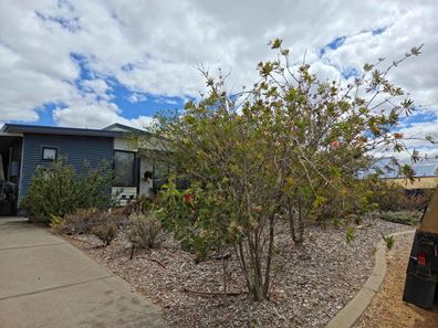 16 France Street, Hopetoun WA 6348
