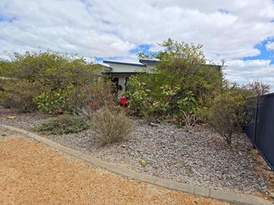 16 France Street, Hopetoun WA 6348
