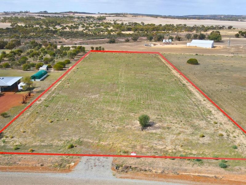 14 Stonestreet Way, Wongan Hills