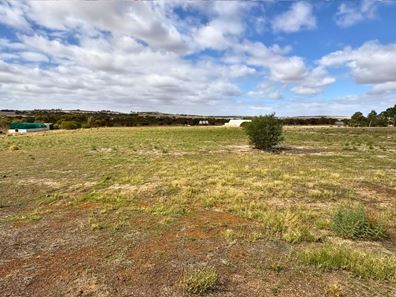 14 Stonestreet Way, Wongan Hills WA 6603