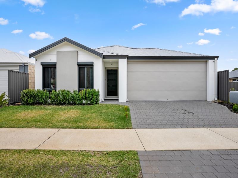 40 Luminous Loop, Wellard