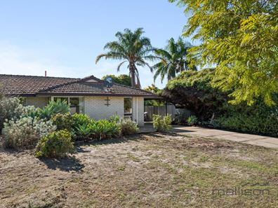 24 Trident Terrace, Willetton WA 6155
