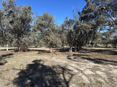 83 Brown  Street, Tambellup WA 6320