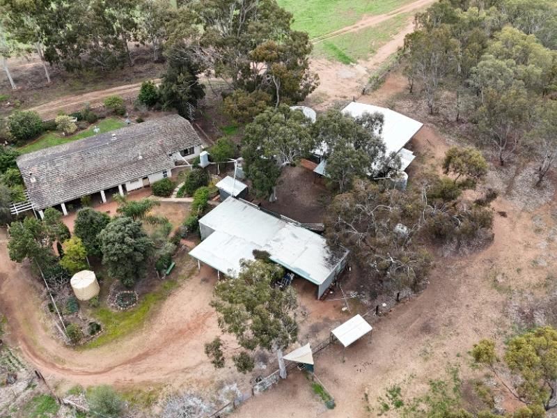 278 Mayanarra Road, Daliak