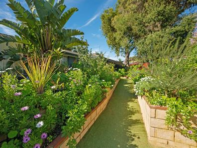 3 Sheoak Place, Armadale WA 6112