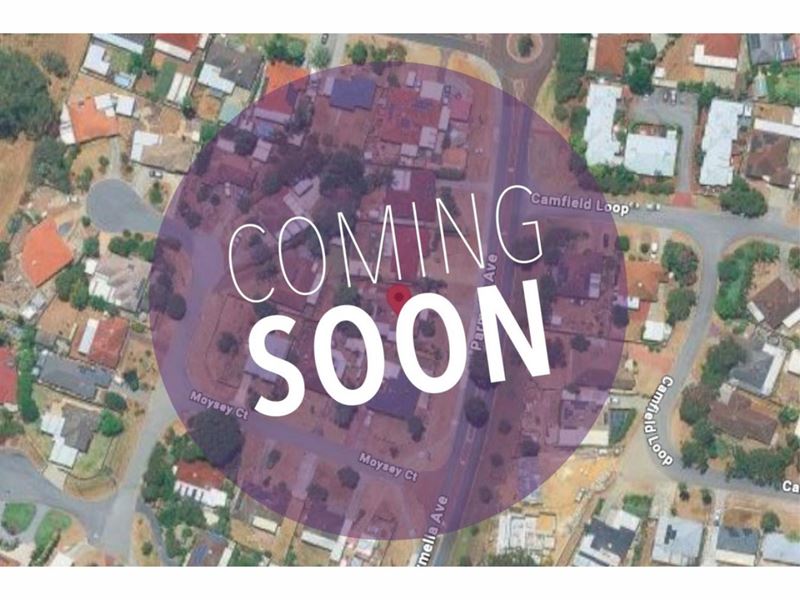 31 Parmelia Avenue, Parmelia WA 6167