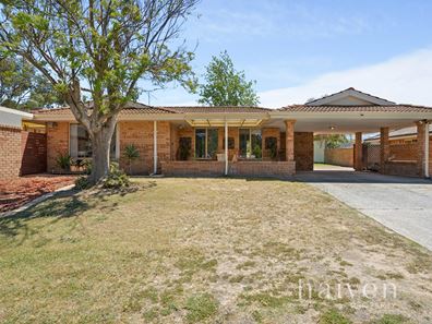31 Craigie Drive, Beldon WA 6027
