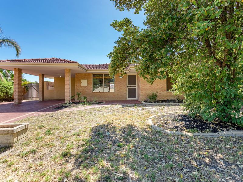 59 Lyrebird Loop, Seville Grove WA 6112
