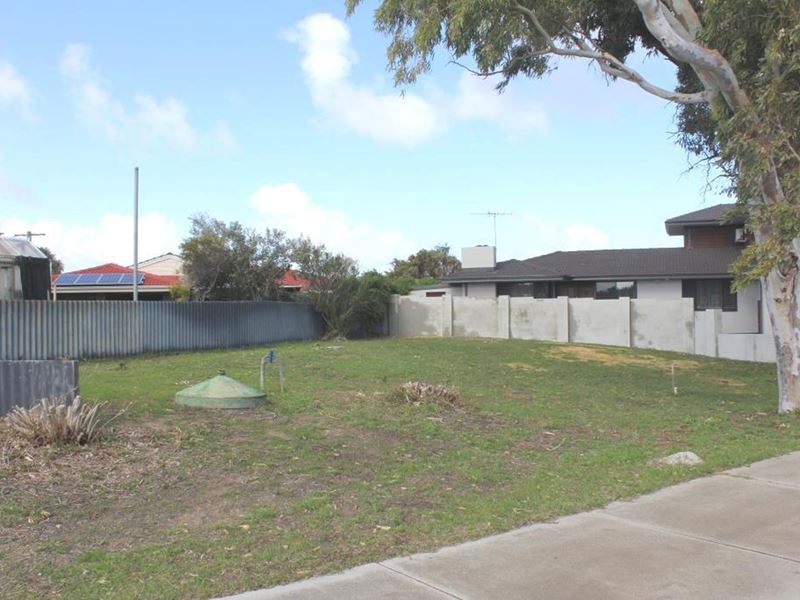 15 Fendam Street, Waikiki