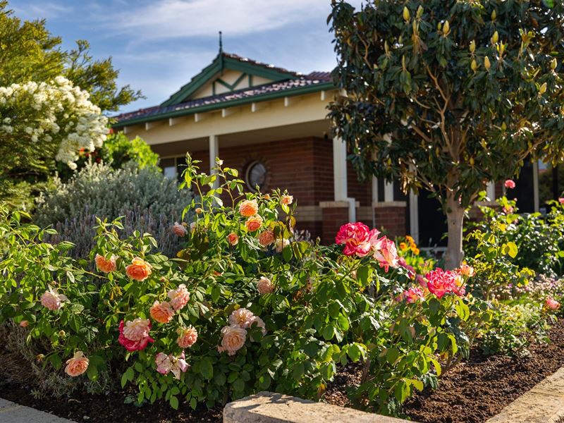14 Tarragon Place, Thornlie