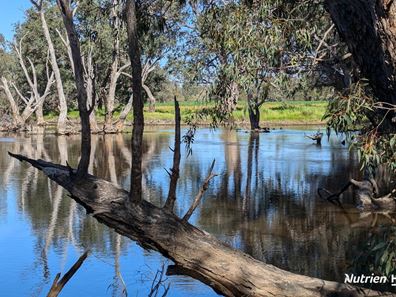 420 Baramba Road, Karakin, Gingin WA 6503