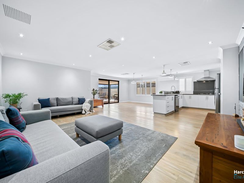 28 Covington Loop, Success