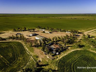 235 Telegraph Road, West Binnu WA 6532