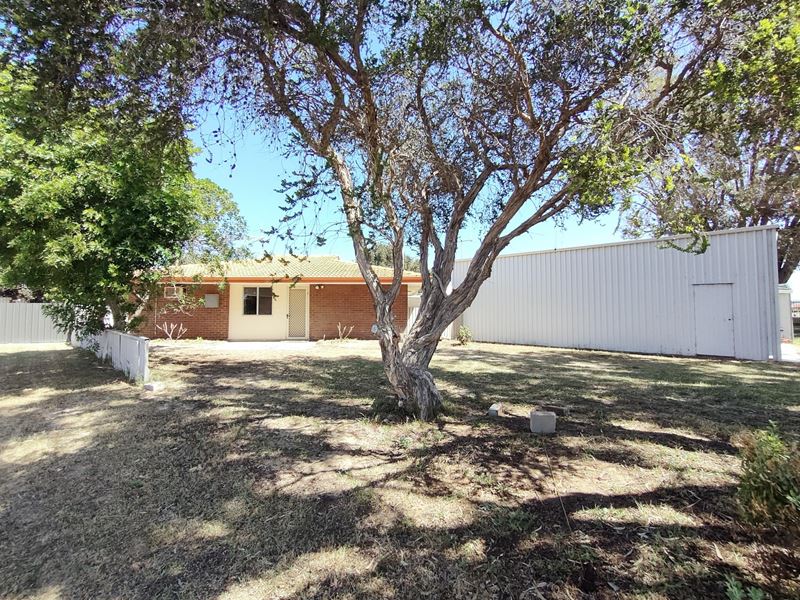 11 Quandong Place, Leeman WA 6514