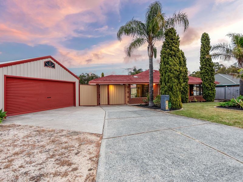 14 Skua Grove, Seville Grove WA 6112