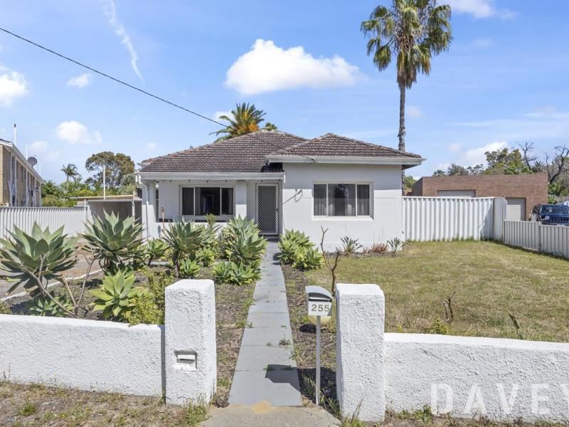 255 Pearson Street, Woodlands