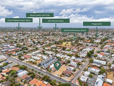 7 Carex Lane, North Perth WA 6006