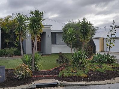 6 Woolly Road, Banksia Grove WA 6031