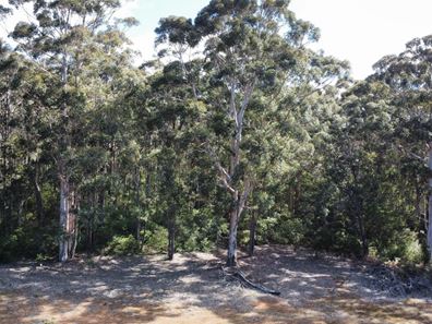 166 Redgate Road, Witchcliffe WA 6286