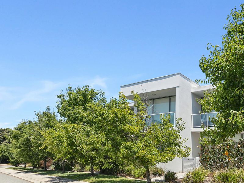 7/7 College Corner, O'Connor
