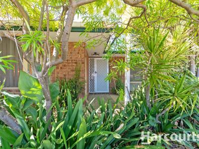 38 Pitchford Glade, Clarkson WA 6030