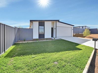 46 Tappak Street, Waggrakine WA 6530