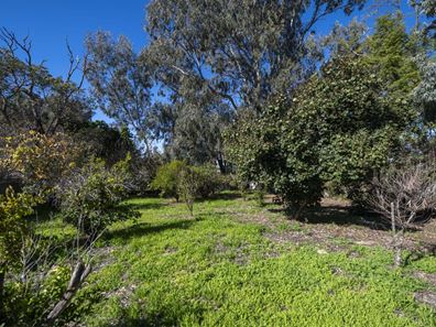 4 Quin Place, Dandaragan WA 6507