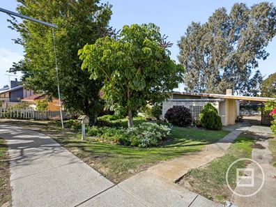 36 Ravenswood Drive, Nollamara WA 6061