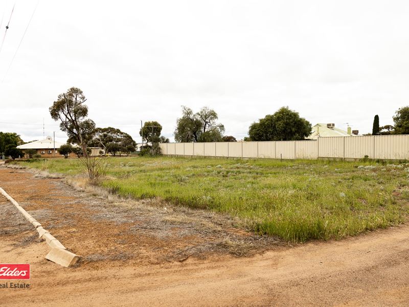 14 Altair Street, Southern Cross WA 6426
