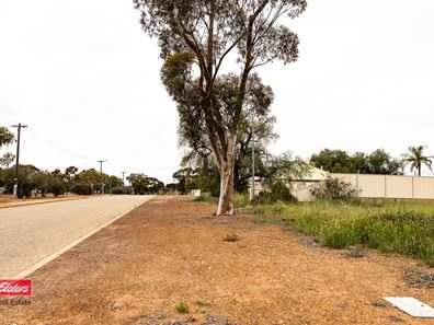 14 Altair Street, Southern Cross WA 6426