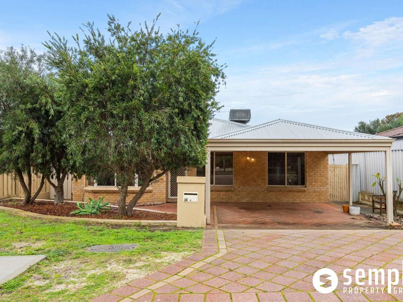 56 Senecio Lane, Beeliar